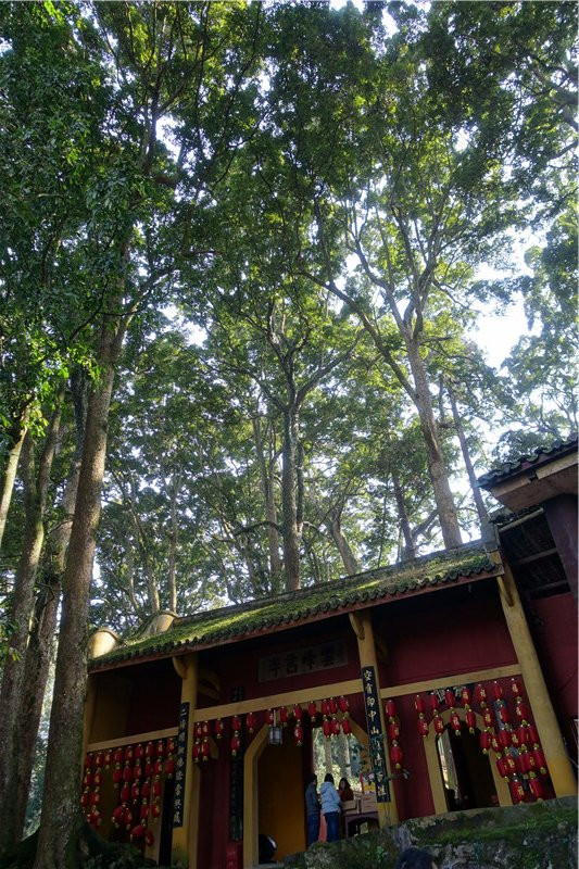 云峰寺-雅安市必去景点