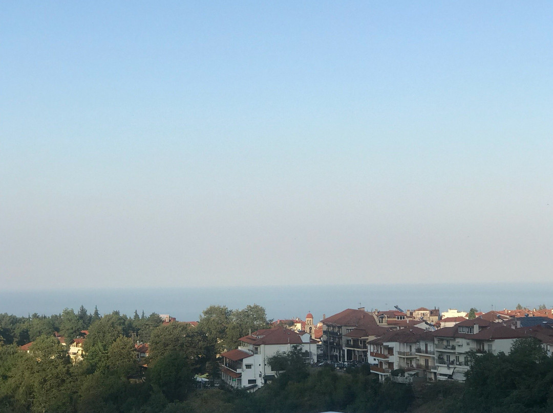 Villa Pantheon主图