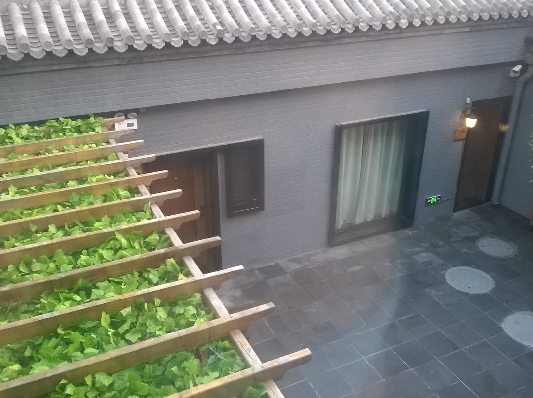 秋果四合院酒店（北京王府井协和医院店）主图