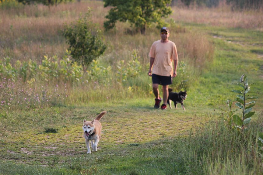 Standing Rocks Dog Park景点图片