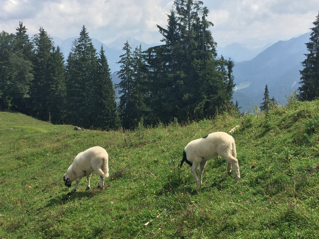 Hoch Schwarzeck-拉姆绍必去景点