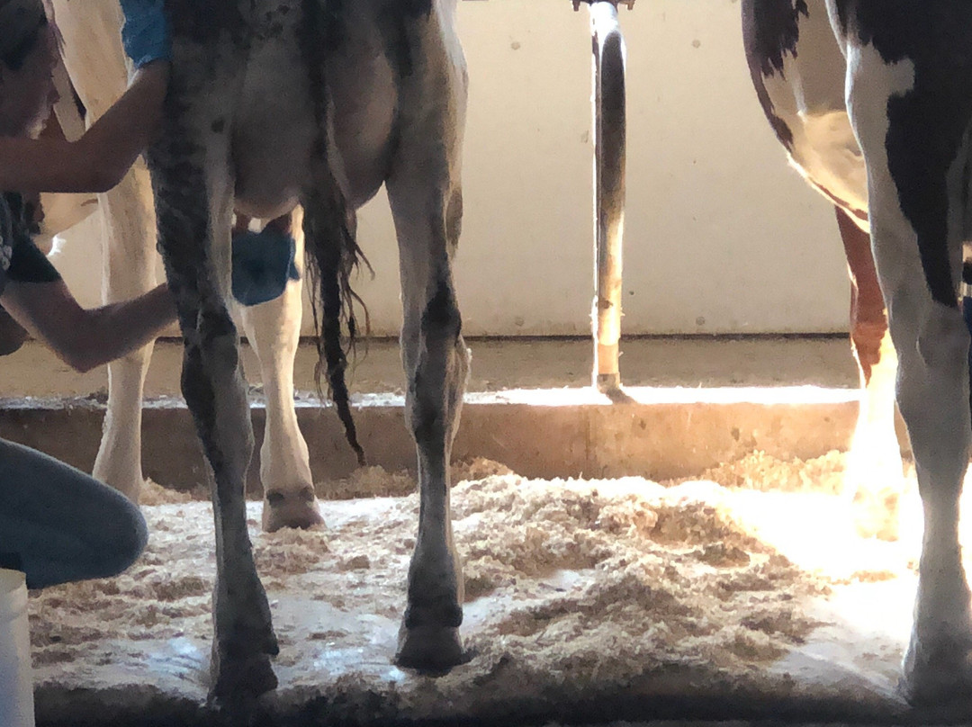 Hornstra Farms-Norwell必去景点