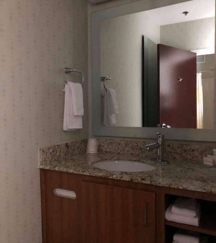 SpringHill Suites by Marriott Herndon Reston主图