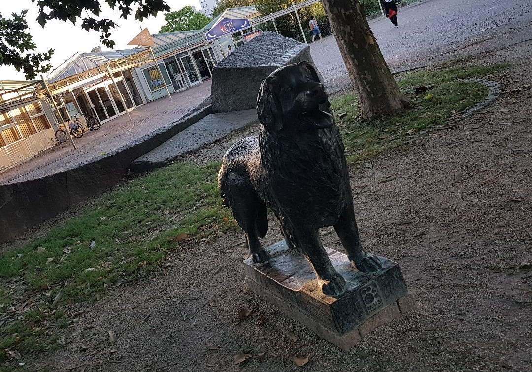 Leonberg Dog Statue景点图片
