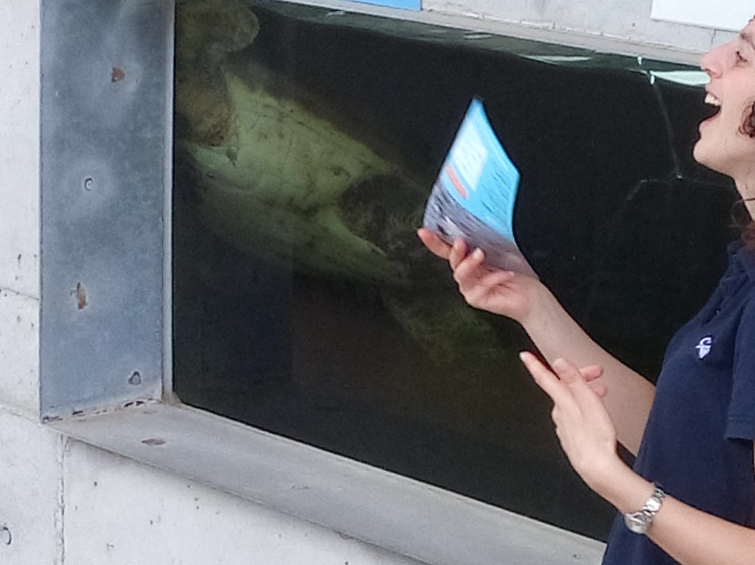 CRAM Fundacion Para La Conservacion y Recuperacion de Animales Marinos-埃尔普拉特德略夫雷加特必去景点