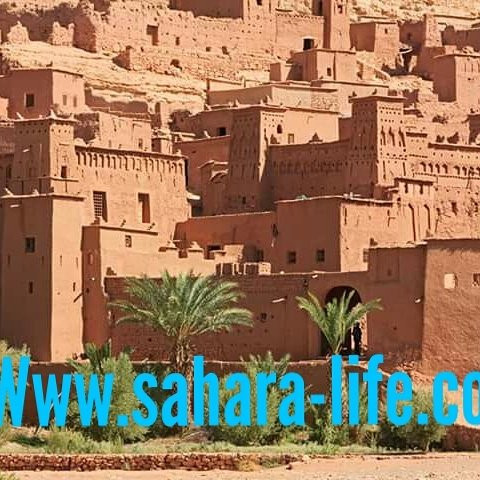 Sahara Life Private Day Tours-梅如卡必去景点
