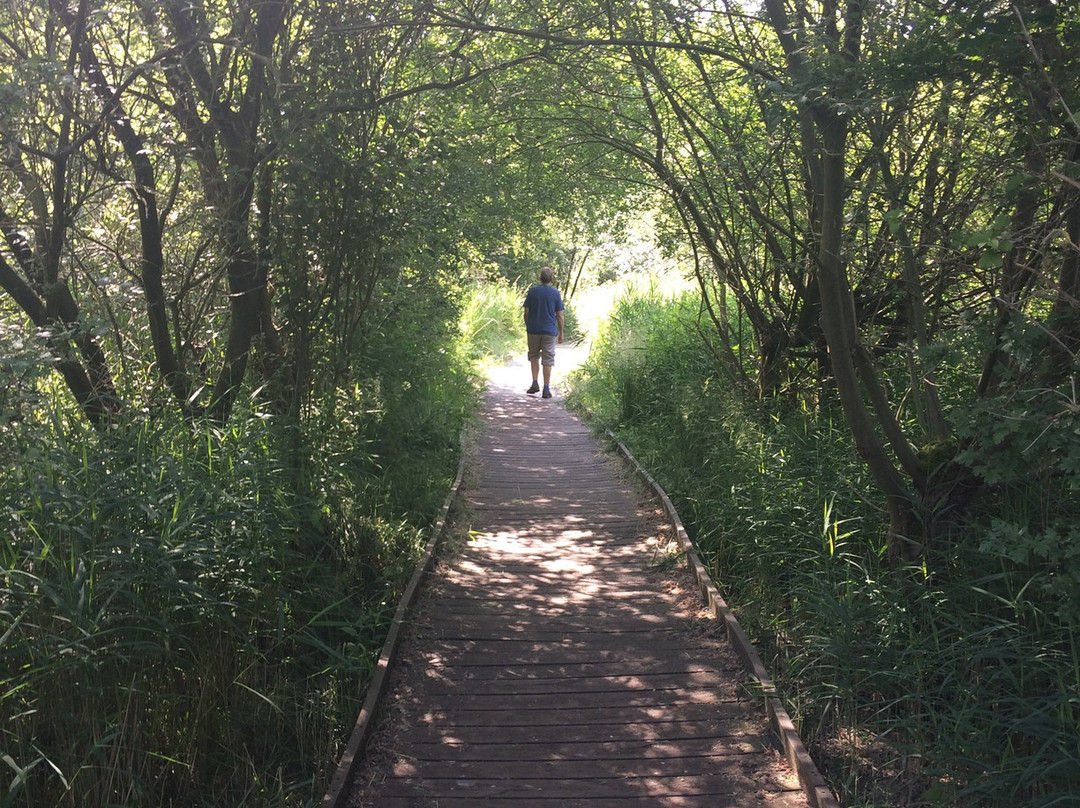 RSPB Fowlmere Nature Reserve景点图片