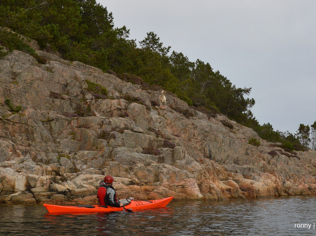 God Tur-卑尔根必去景点