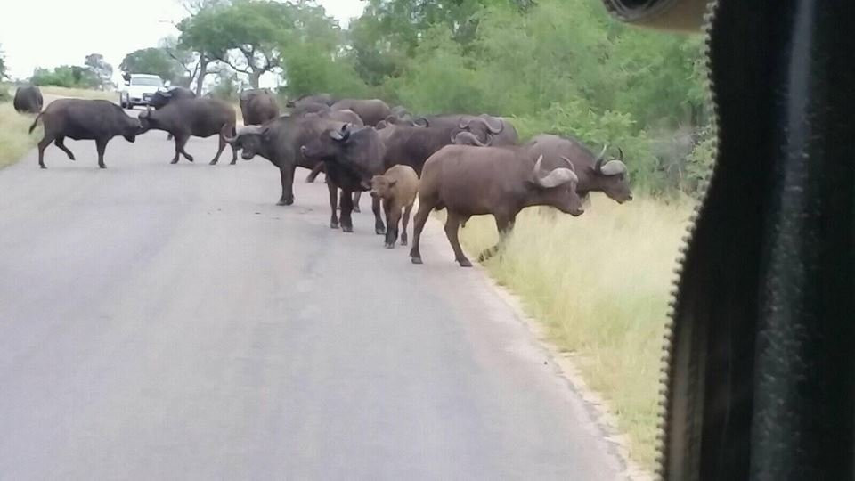 Mashalas Travel-坎顿园必去景点