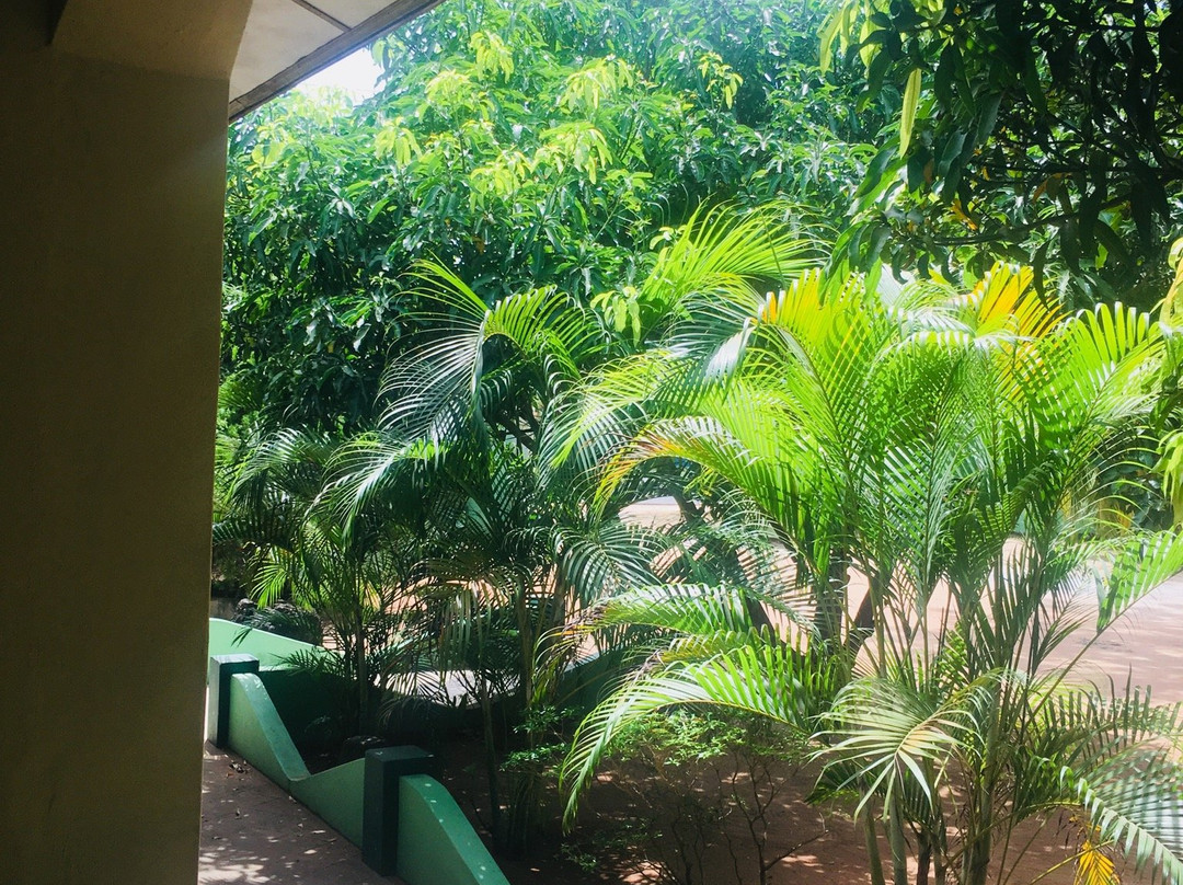 The New Land Guest House主图