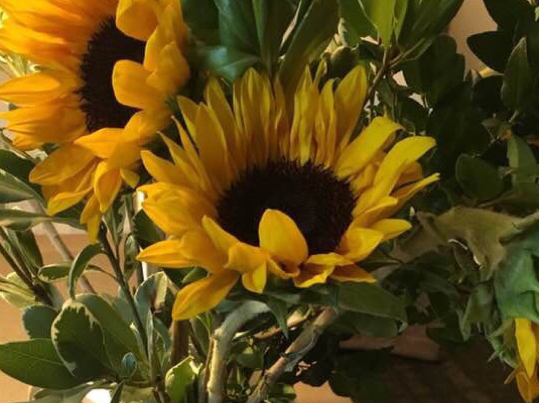 Hampton Inn & Suites La Porte主图