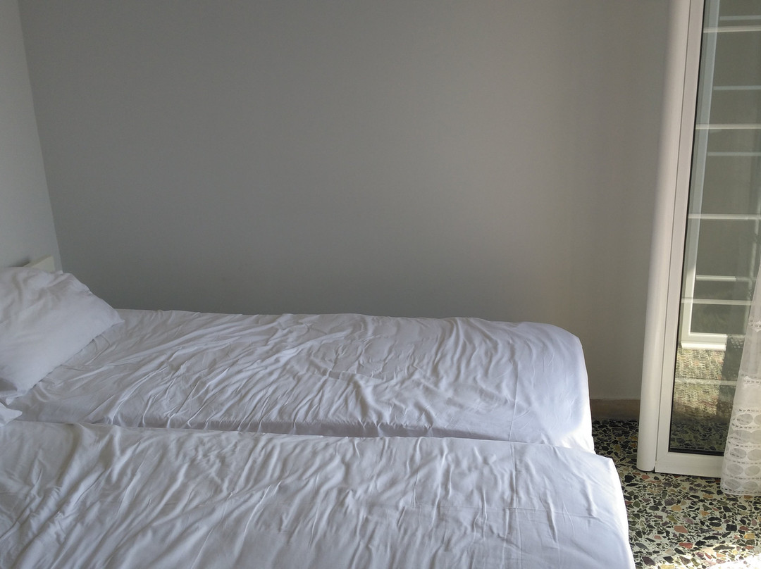 Pansion Katoji主图