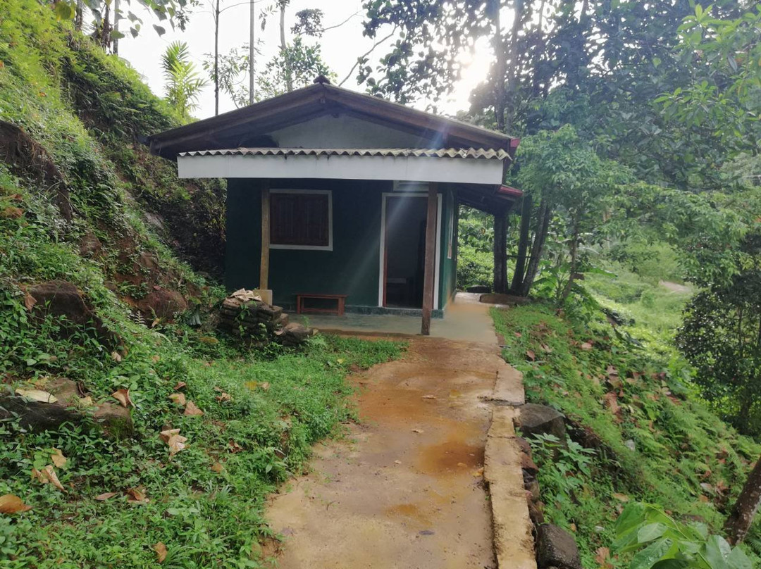 Rakwana旅游攻略图片