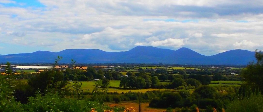 Hollymount House B&B主图