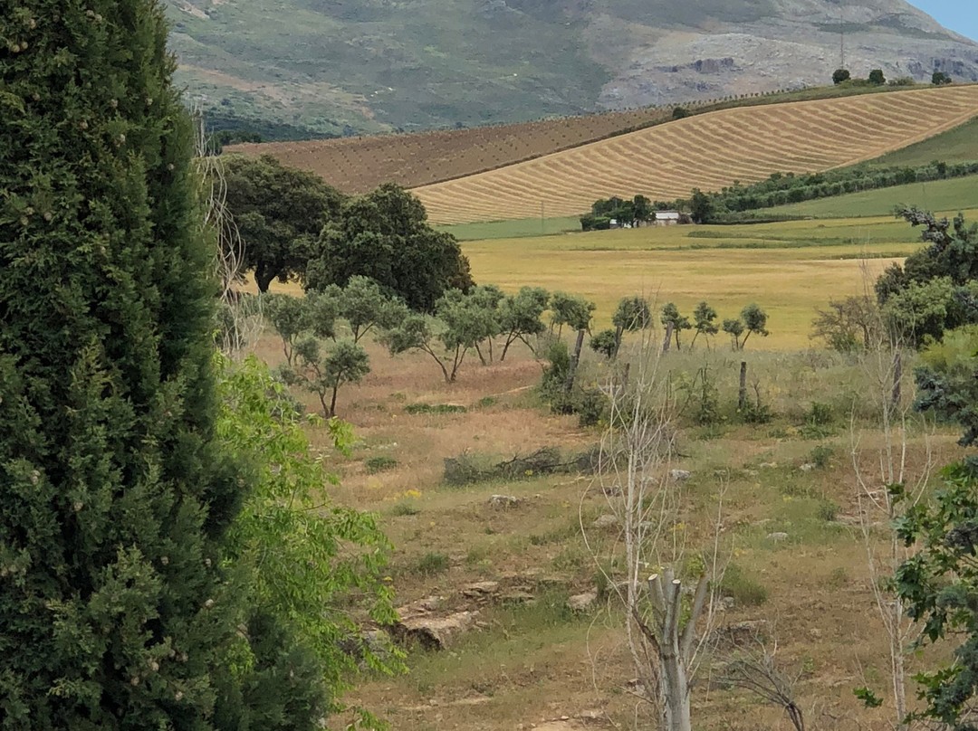 Hotel Bodega El Juncal主图