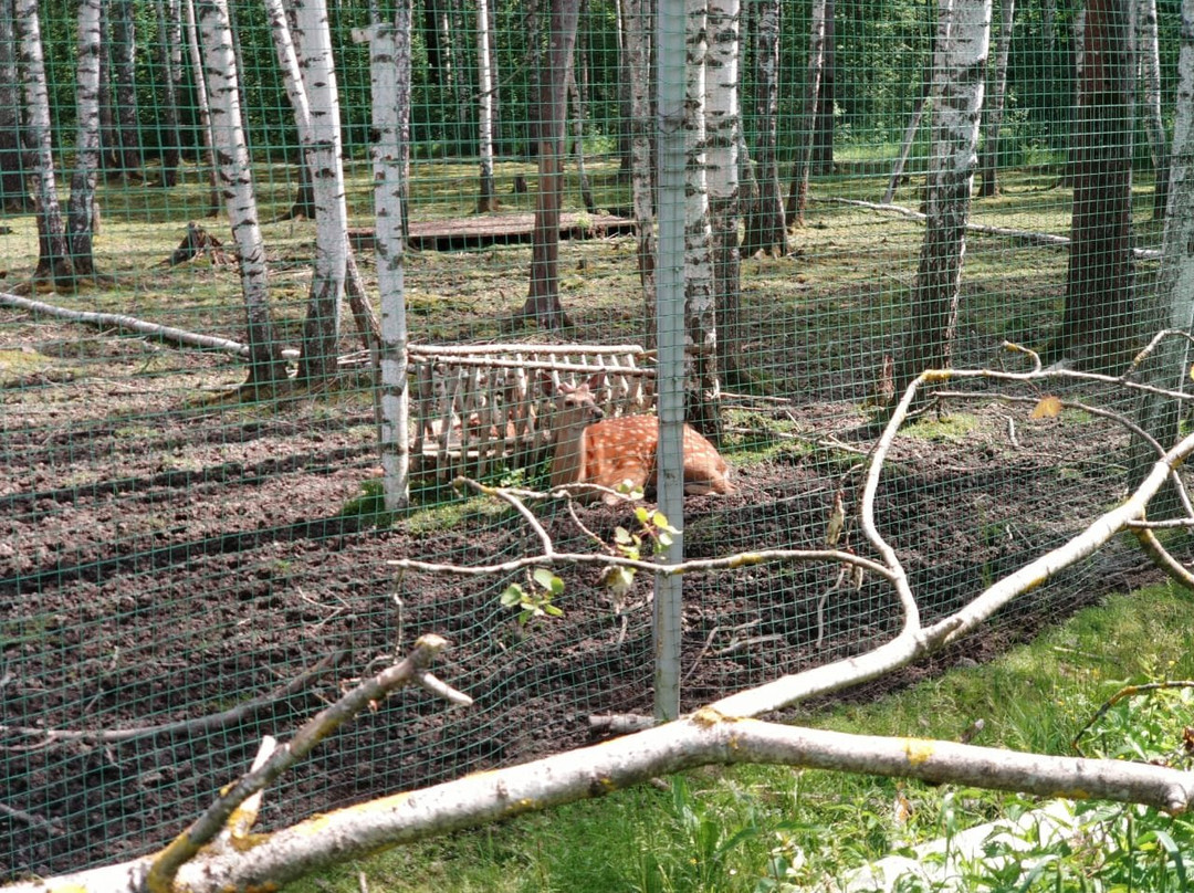 Kolkunovo-Pleshkovo必去景点