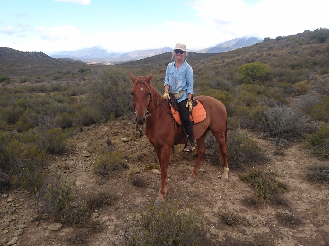 Heidiland Horseback Adventures-蒙提古必去景点