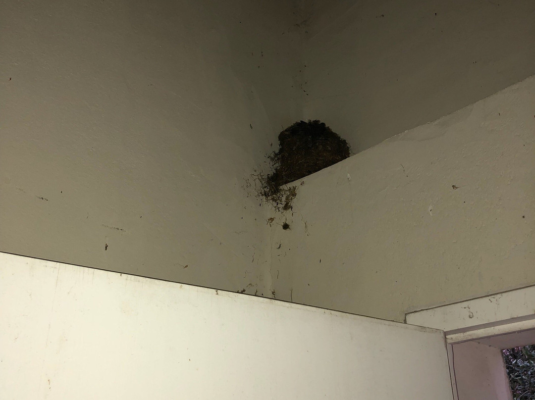 Les Bastides du Golf d'Albret主图