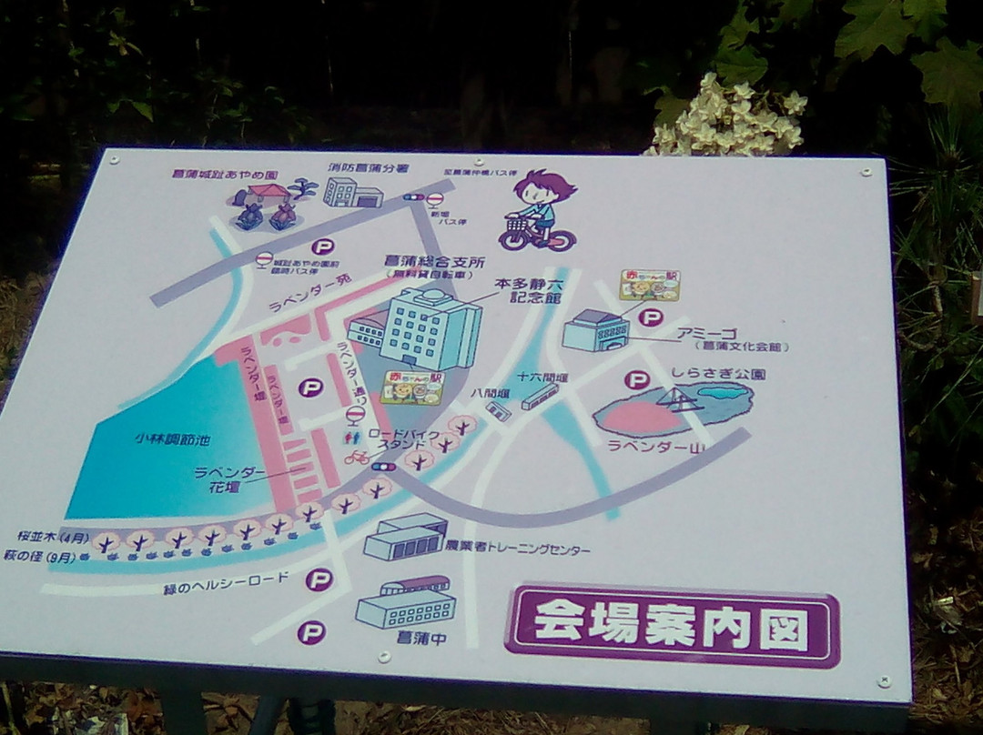 Shobujoshi Ayame Garden-久喜市必去景点