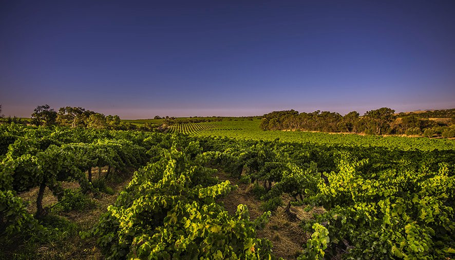 Zerella Wines景点图片