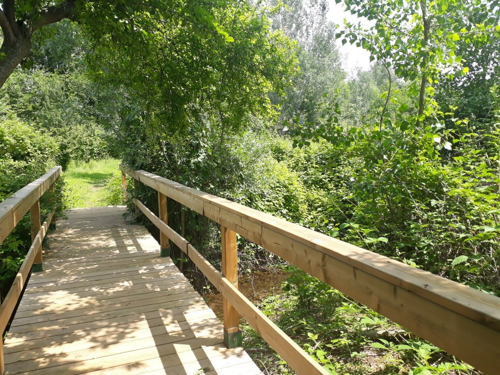 Renova Park景点图片