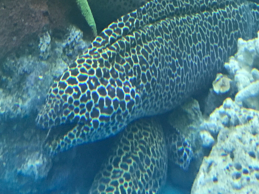 Khlong Khok Kham-龙仔厝必去景点