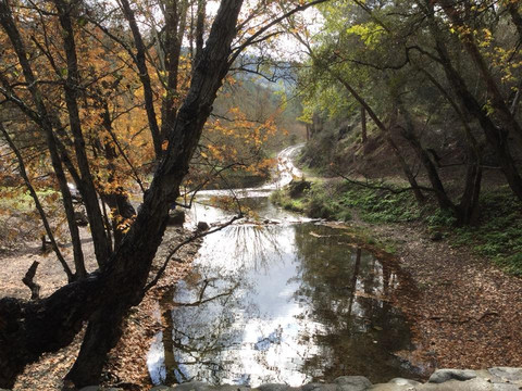 FollowMe Tours Cyprus-利马索尔必去景点