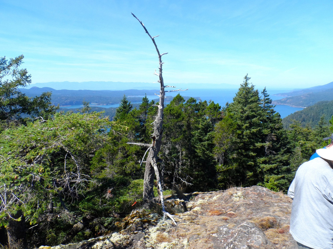 South Texada Island Provincial Park景点图片