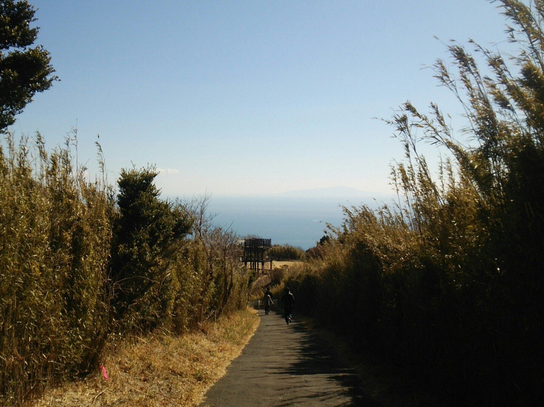 Himenosawa Park-热海市必去景点