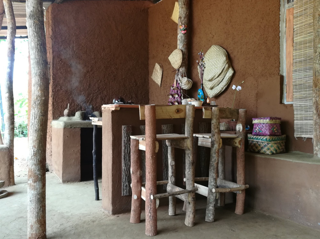 Village Tour Sri Lanka-丹布拉必去景点