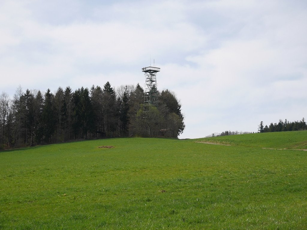 Gehrenbergturm景点图片