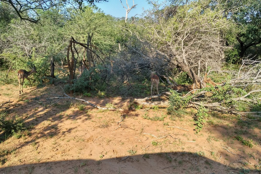 Marakele Animal Sanctuary景点图片