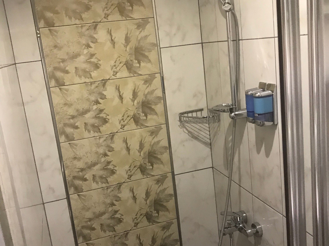 Park Yalcin Hotel主图