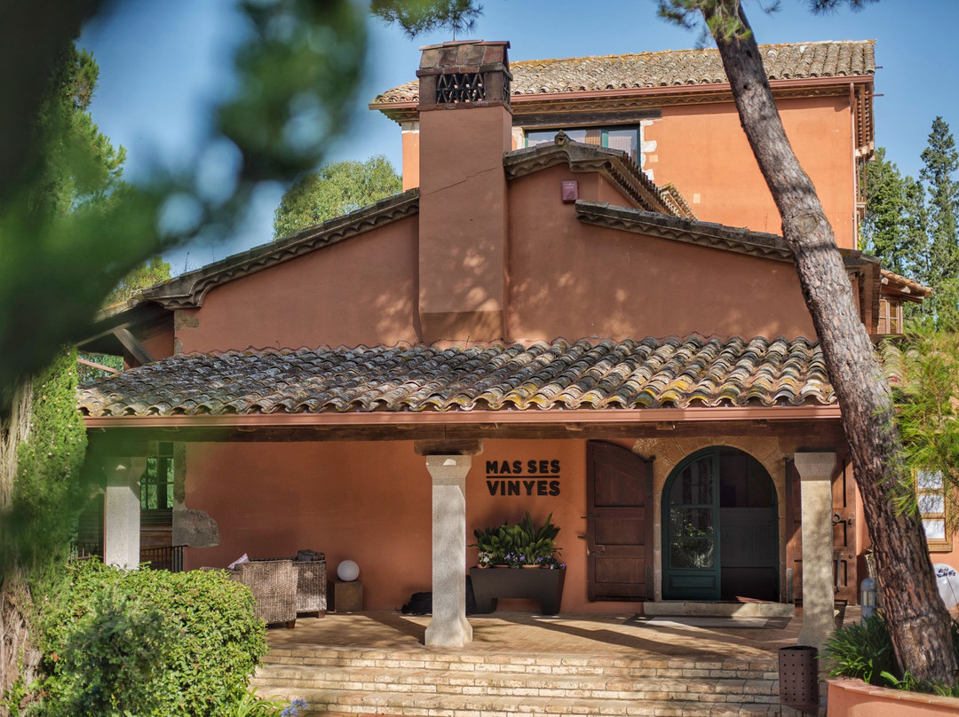 玛斯瑟斯维尼耶斯酒店