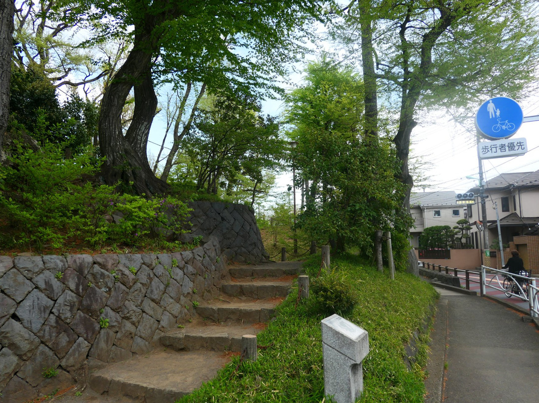 Setagaya Jyoshi Park景点图片