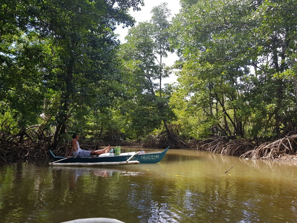 Mystic Mangrove Adventure-爱妮岛必去景点