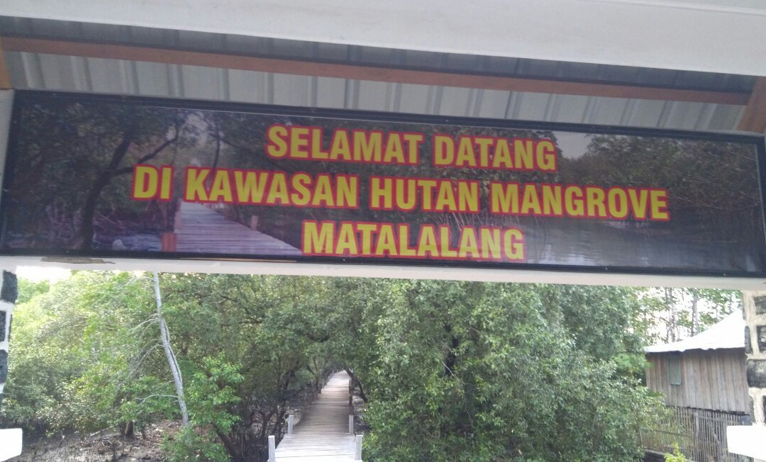 Matalalang Mangrove Forest景点图片