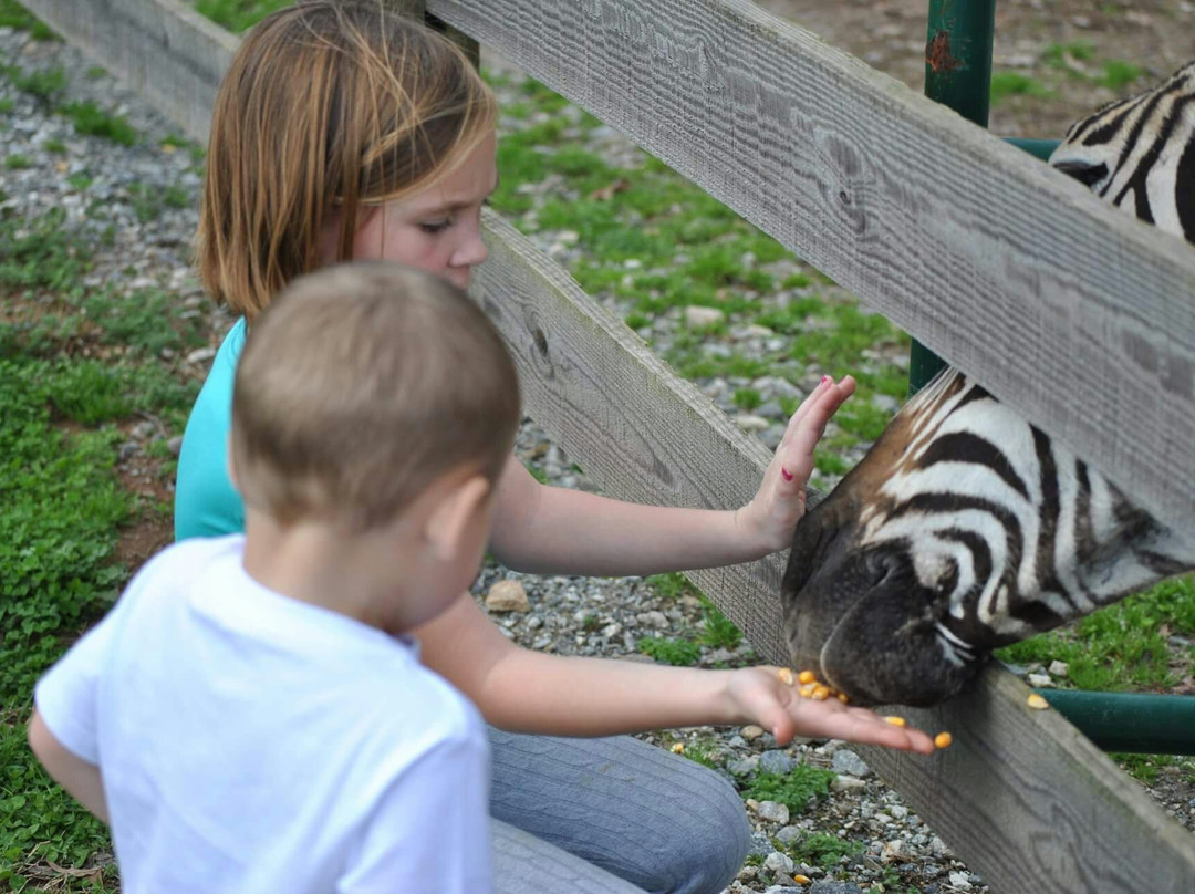 Chestatee Wildlife Preserve & Zoo景点图片