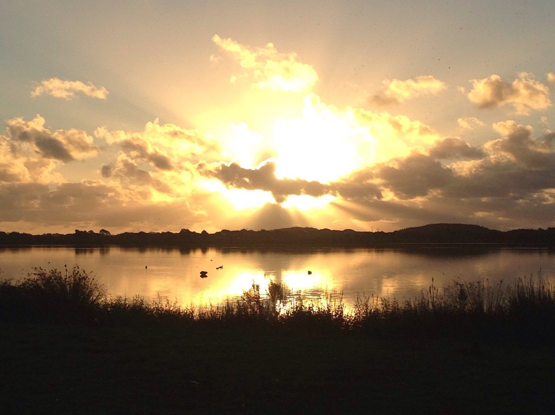 Lake Horowhenua景点图片