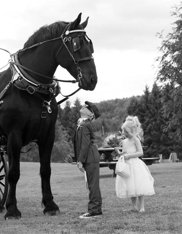 Gammondale Farm-Slate River Valley必去景点