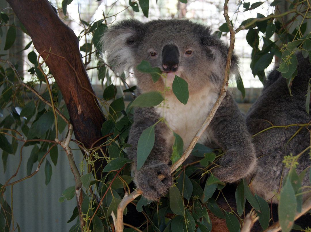 Waterways Wildlife Park-冈尼达必去景点