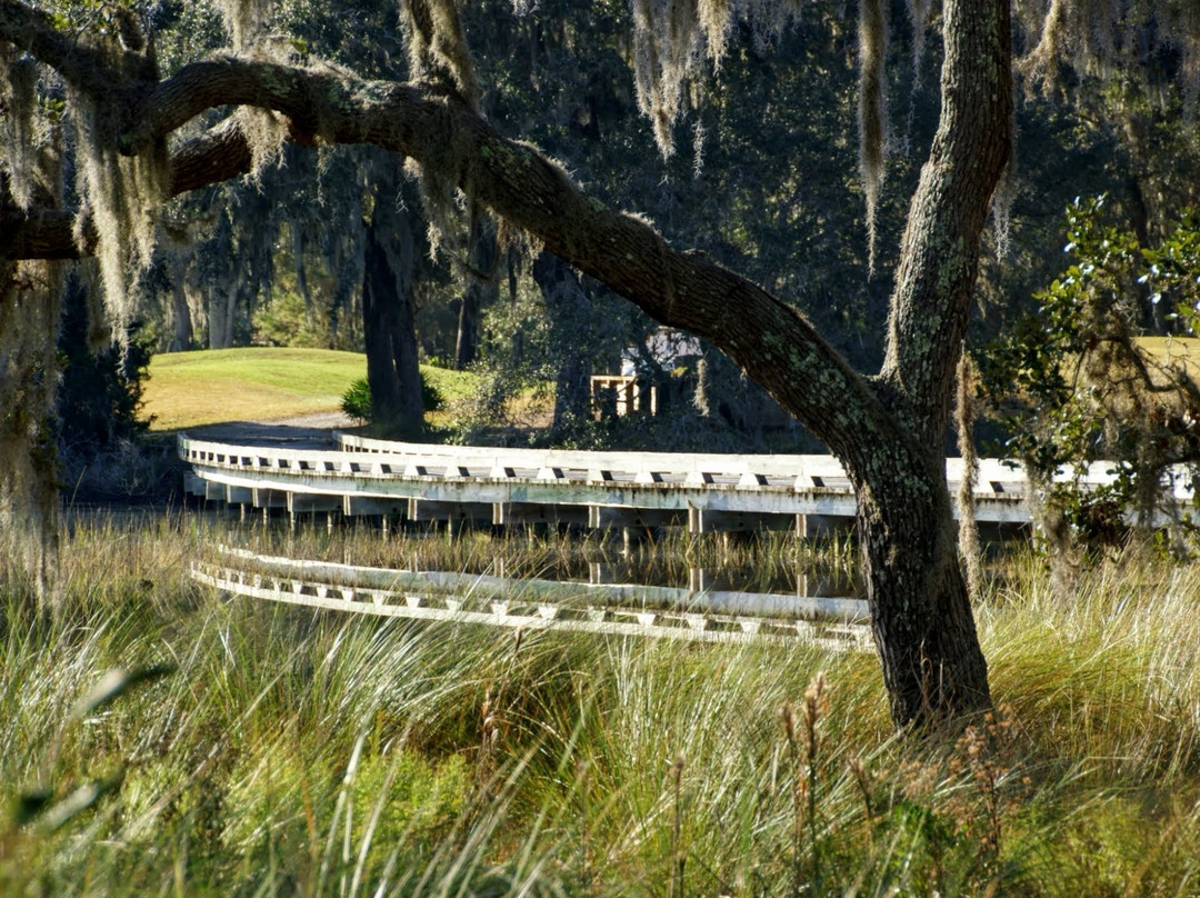 Sapelo Hammock Golf Club-Shellman Bluff必去景点