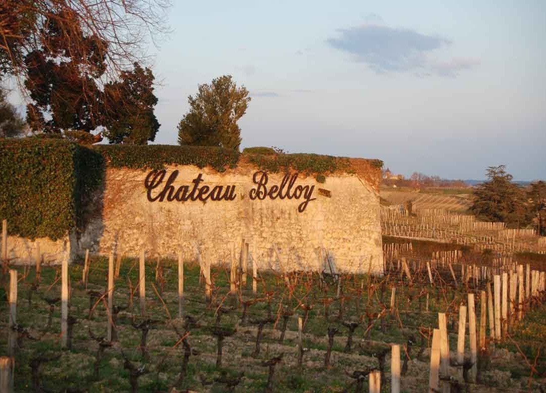 Chateau Belloy景点图片