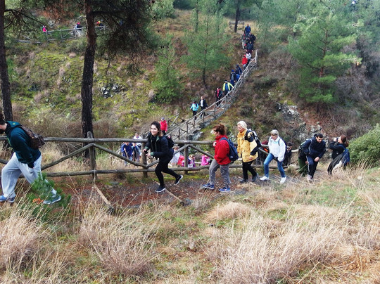 Green Oliver-塞萨洛尼基必去景点