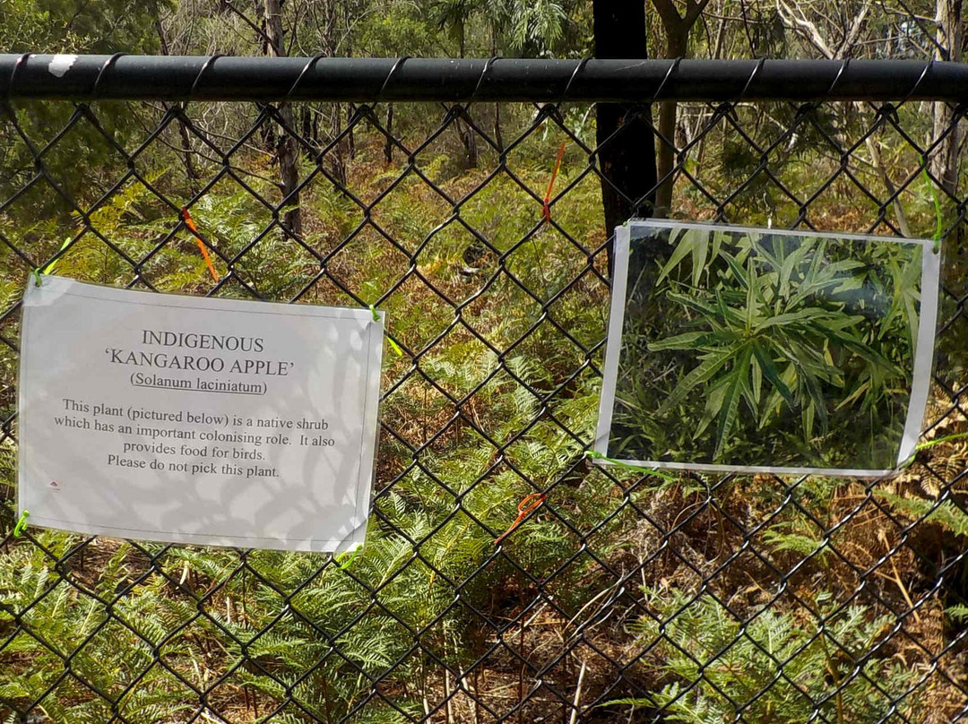 Cheltenham Park-Cheltenham必去景点