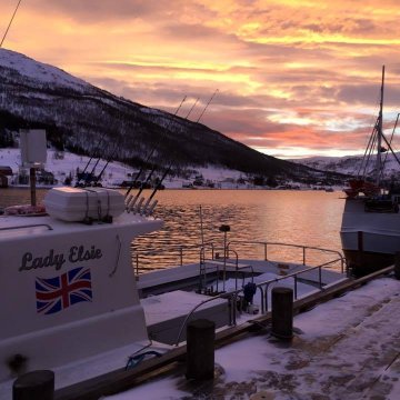 Sjotun Brygge-官方