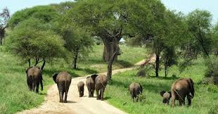 Great View Adventure-阿鲁沙必去景点