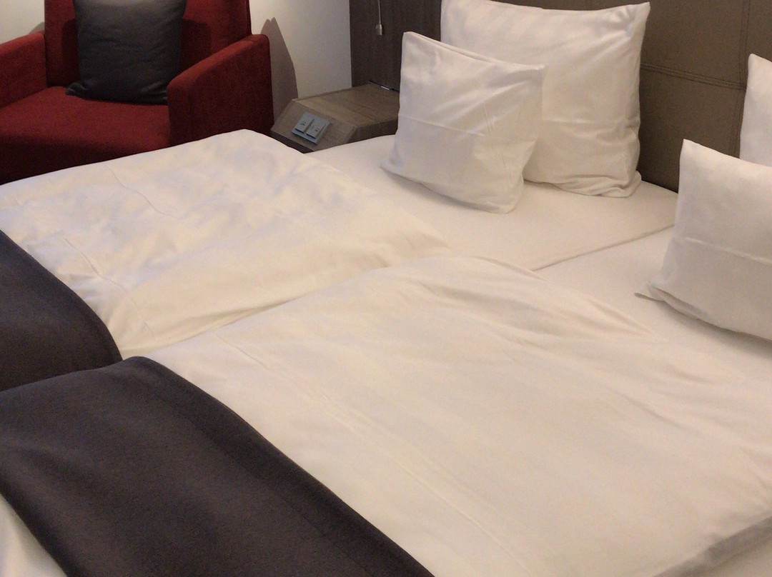 丁斯拉肯酒店住宿-Hotel Schmachtendorf