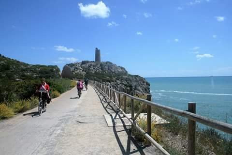 Love Cycling Tours-巴伦西亚必去景点