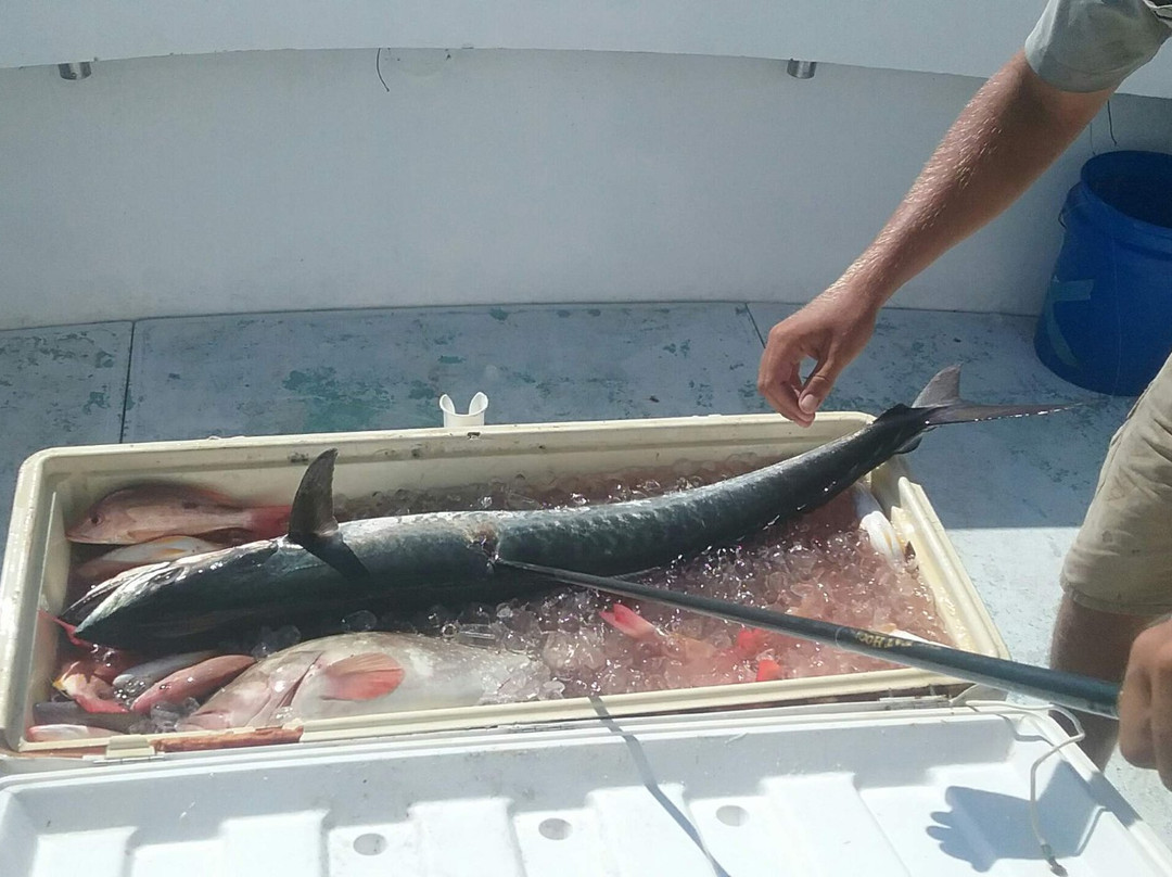 Paradise Fishing Charters-Cape Haze必去景点